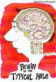 /album/fotogaleria-funny/male-brain-jpg1/